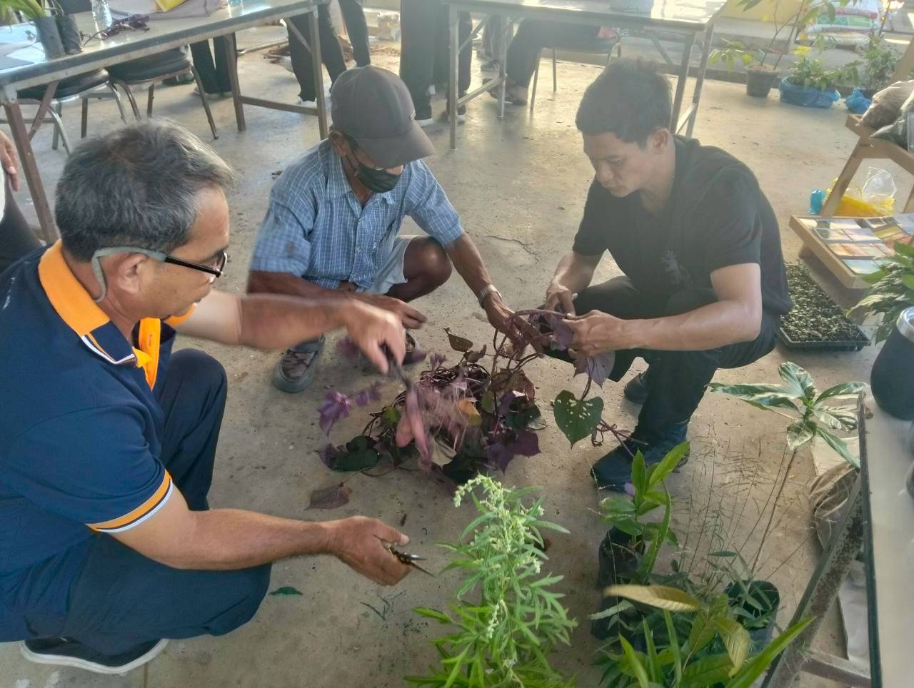 title - ศกร. ร่วมกับ ส.ป.ก.อยุธยา ติวเข้มเกษตรกร ชูโมเดล “โรงอบเคลื่อนที่ - ผัก 3 โลก - มันญี่ปุ่น” เพิ่มทางเลือกสร้างรายได้ในเขตปฏิรูปที่ดิน